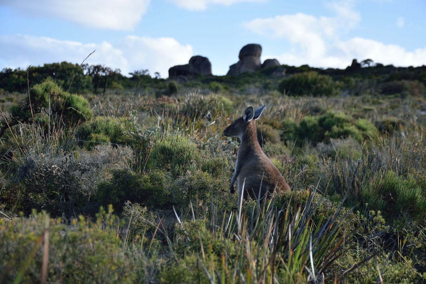 Why Local Biodiversity Matters For Everyone